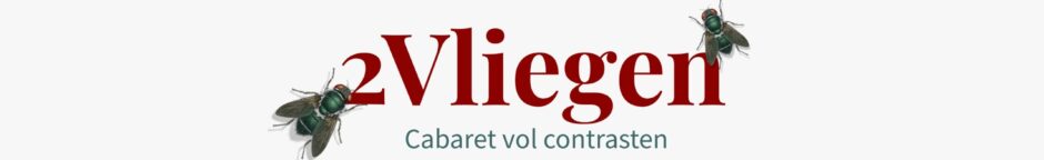2Vliegen